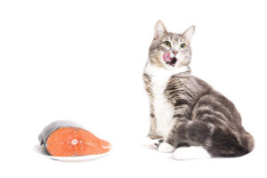 Salmon For Cats