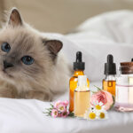 Toxic Essential Oils For Cats